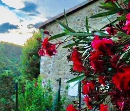 Bed & Breakfast Cambrassa *