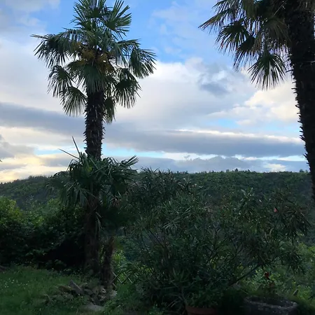 Cambrassa