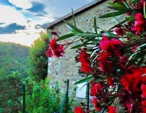 Bed & Breakfast Cambrassa 3*